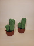 Handmade Crochet Cactus