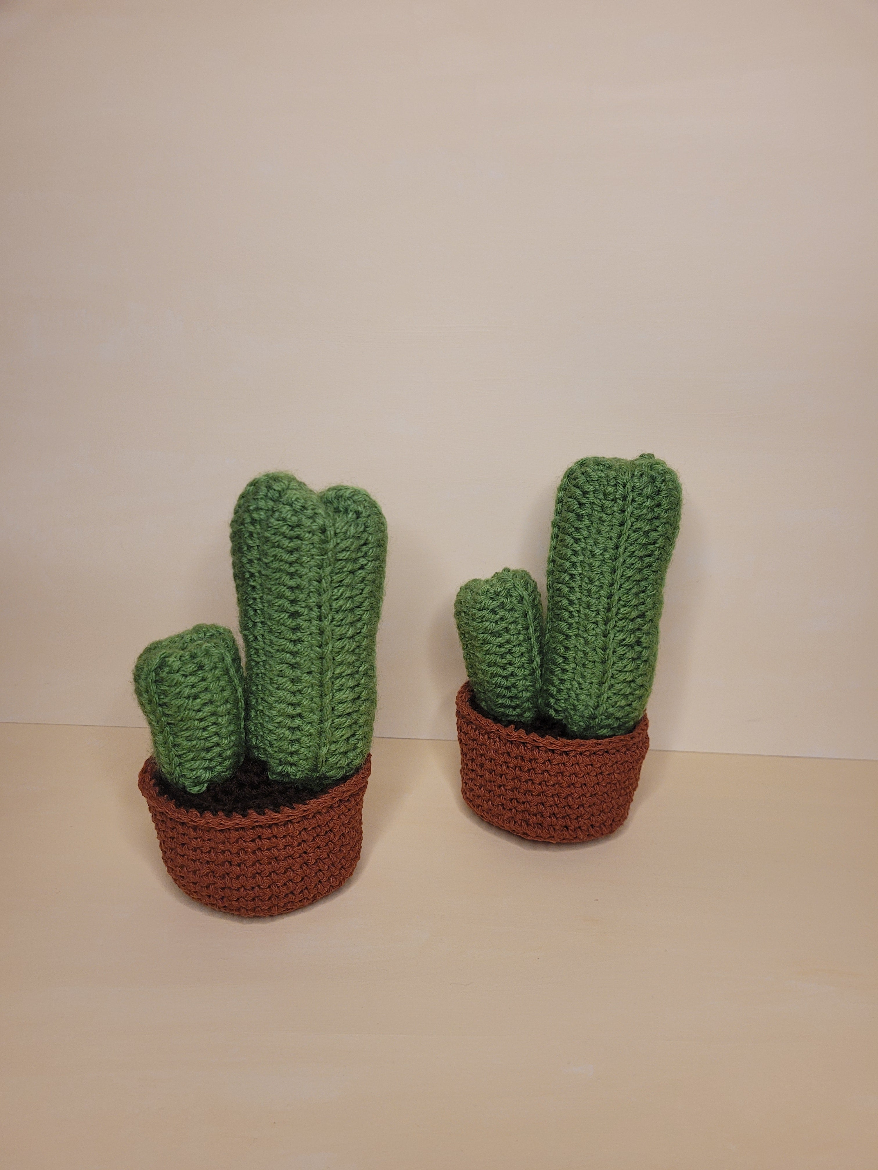 Handmade Crochet Cactus