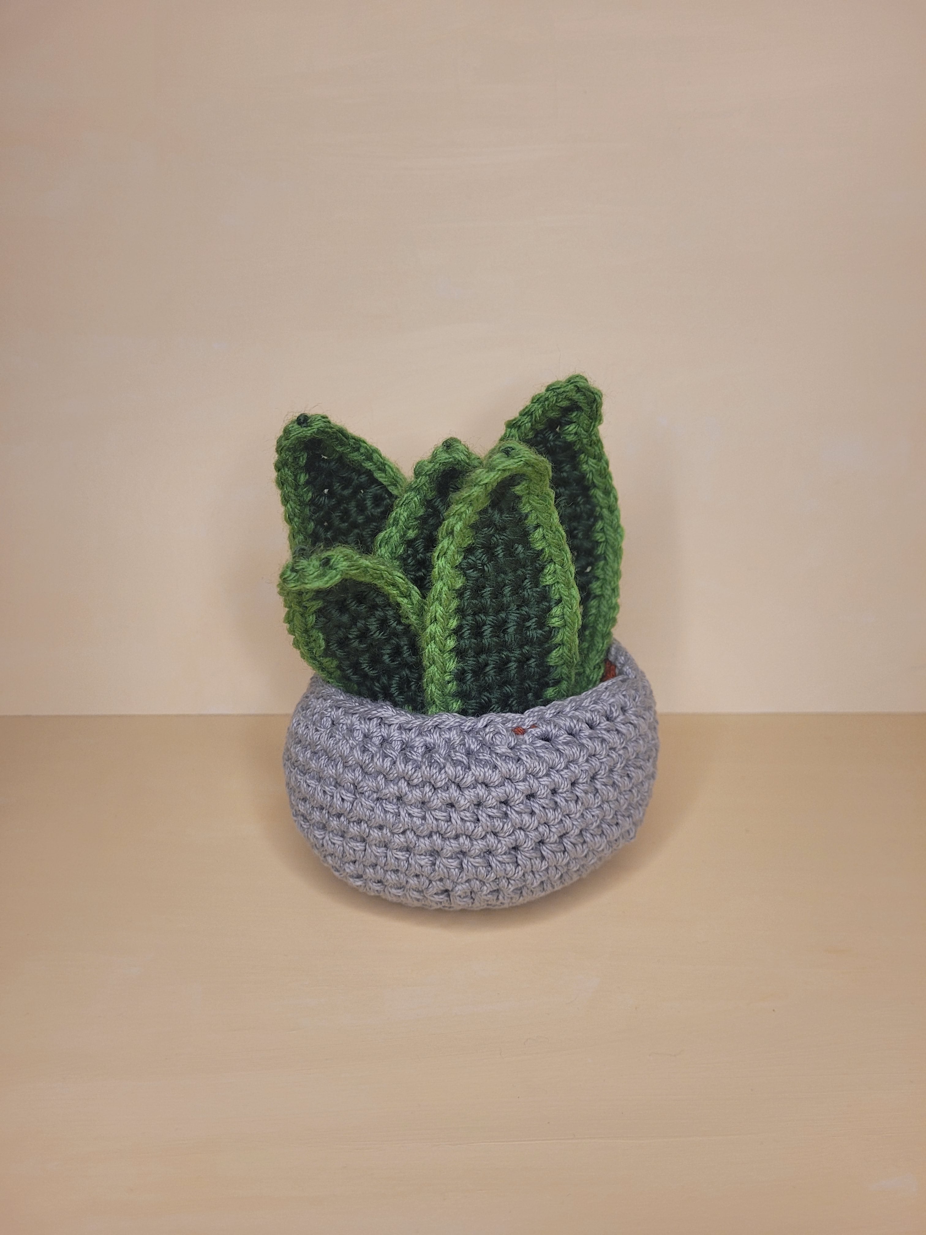Handmade Crochet Snake Plant