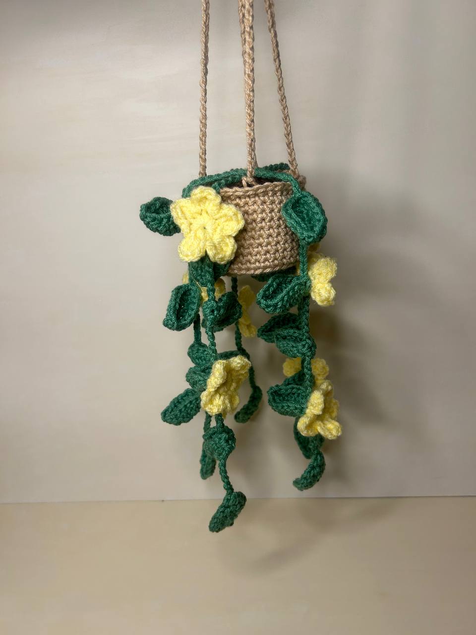 Handmade Crochet Hanging Flower Pot
